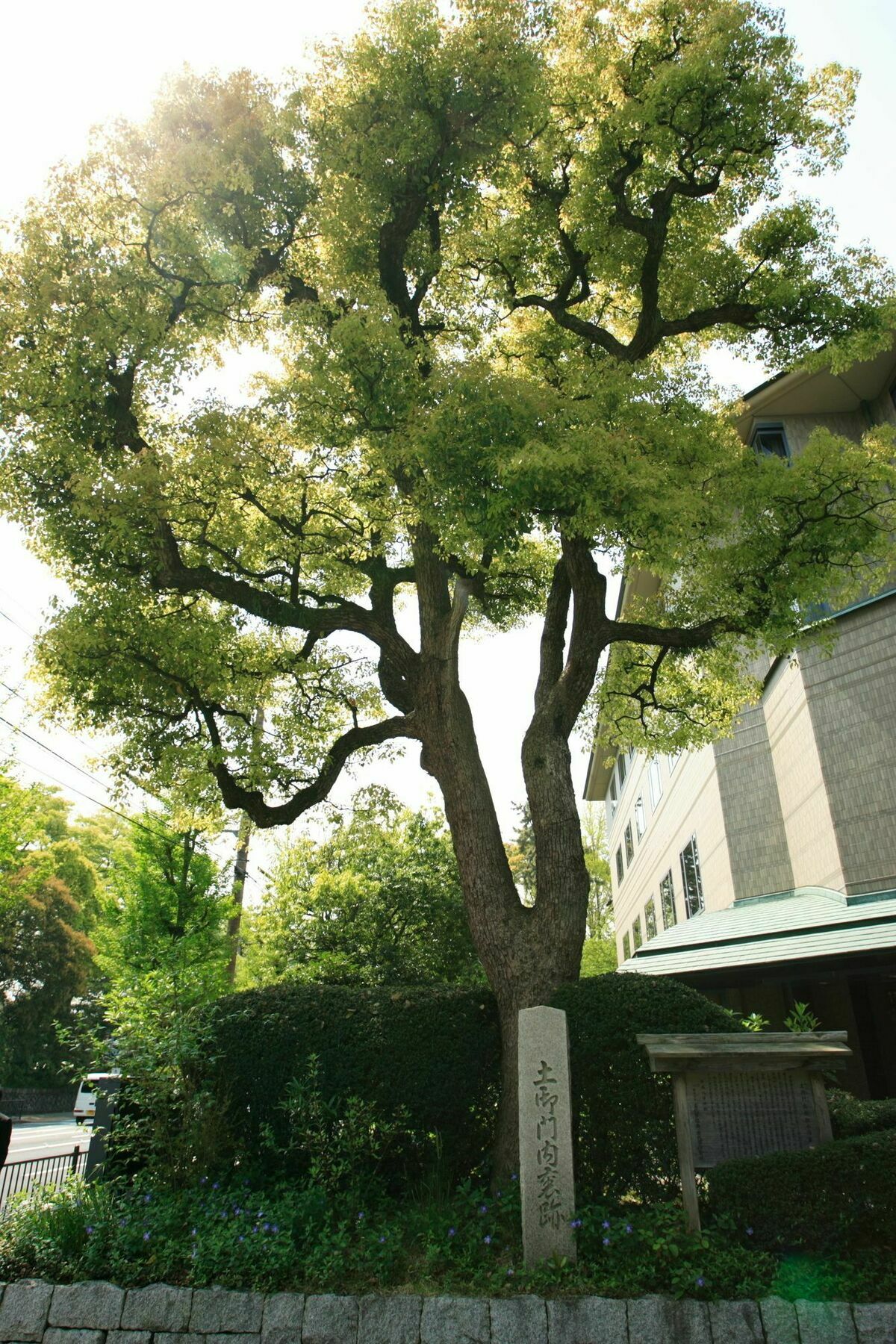 Kyoto Garden Palace Exterior foto